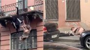 Fighting Couple Video: झगड़ा करते-करते तीसरी मंजिल से गिरा कपल, हादसे का वीडियो हुआ वायरल